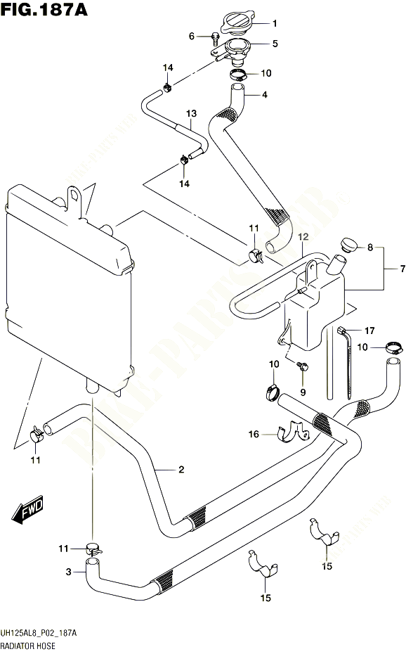 DURITE DE RADIATEUR POUR SUZUKI BURGMAN 125 2018 POUR BURGMAN 125 UH125AL8 P02 