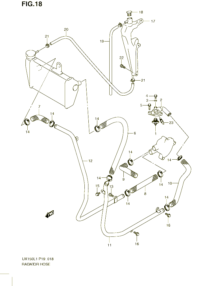 DURITE DE RADIATEUR POUR SUZUKI SIXTEEN 150 2011 POUR SUZUKI SIXTEENUX150L1